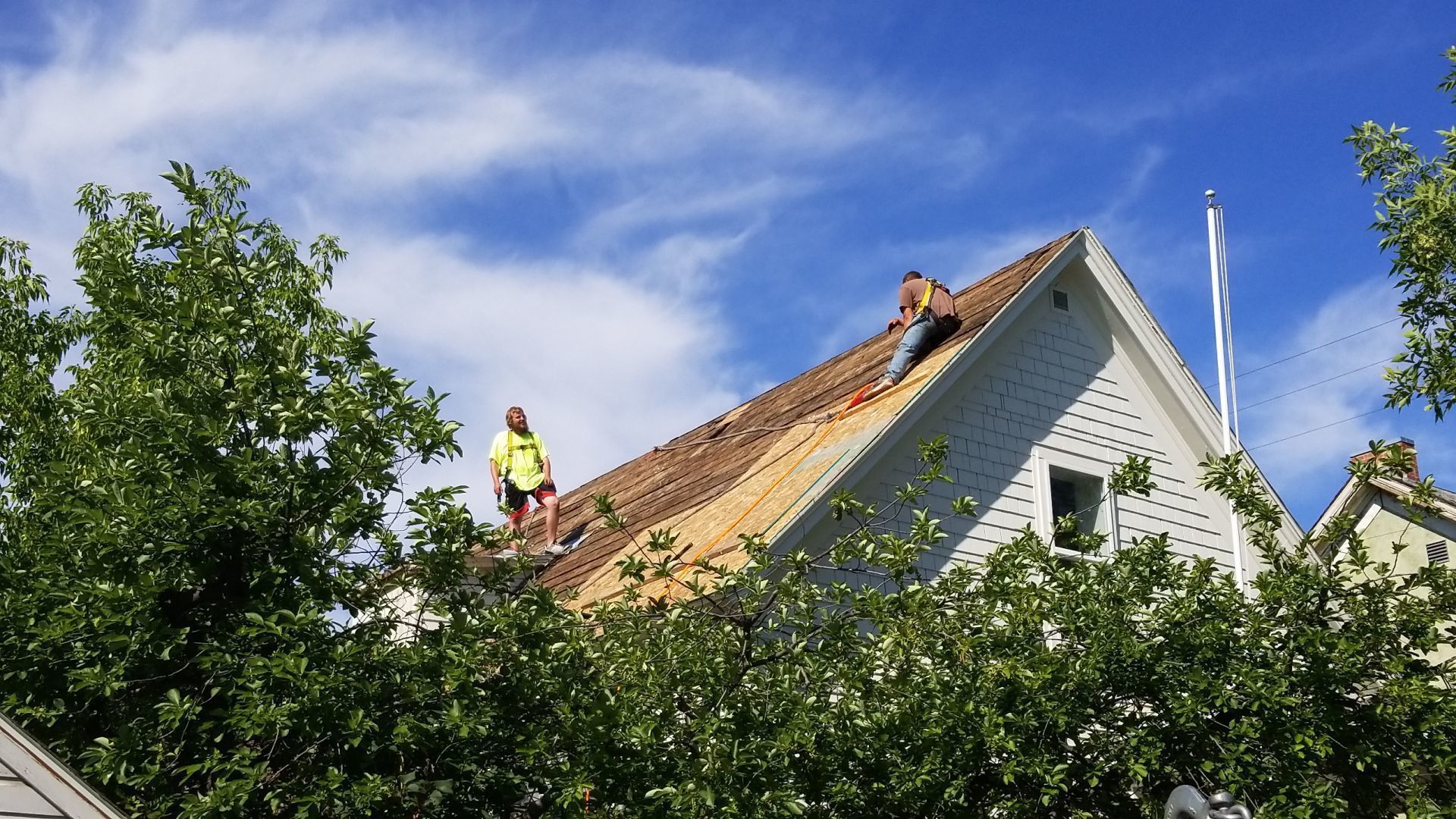 Professional Roof Replacement