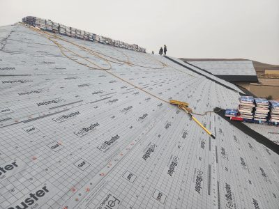 Professional Roofing Service